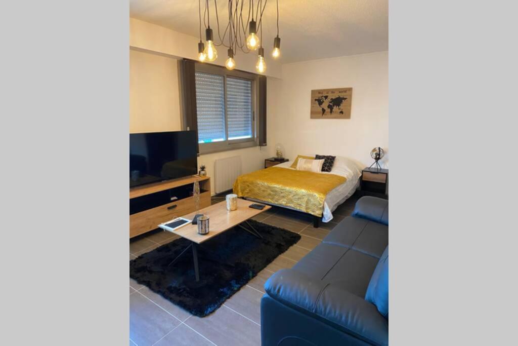 Le 12 Du Temple - Plein Coeur Centre Ville, Residence Privee, 5Mn Gare Sncf, Wifi Et Netflix 尼奥尔 外观 照片